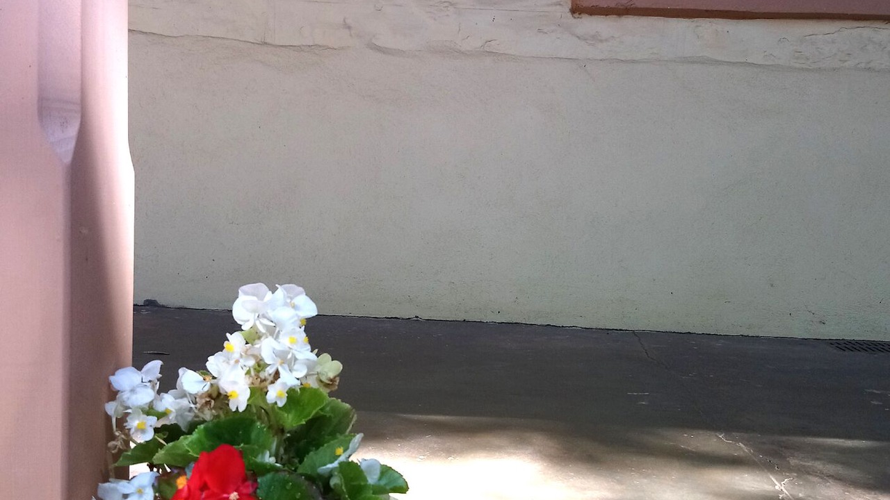 Photo of Outdoor in Angaston