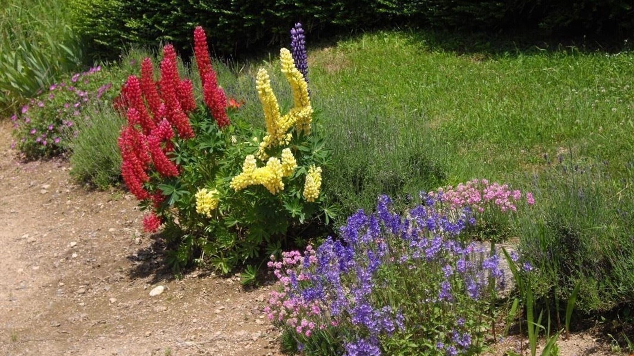 Photo of Outdoor in La Tuiliere