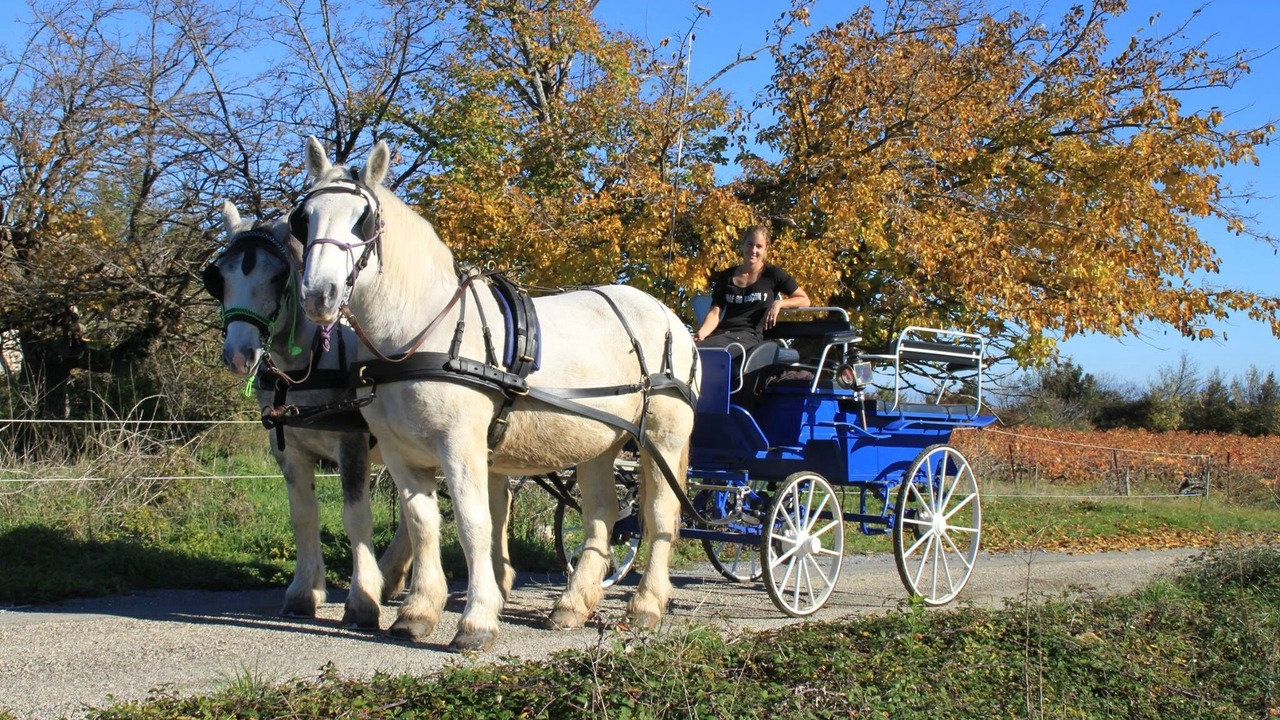 Photo of Outdoor in Saint-Remeze