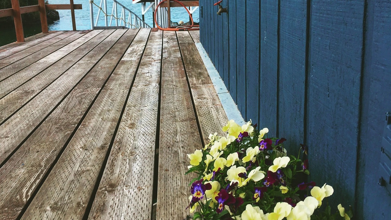 Photo of Outdoor in Halibut Cove