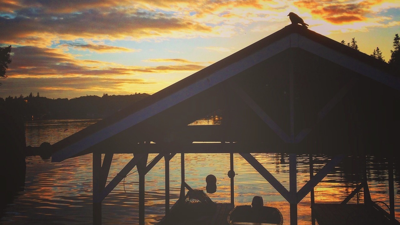 Photo of Others in Halibut Cove
