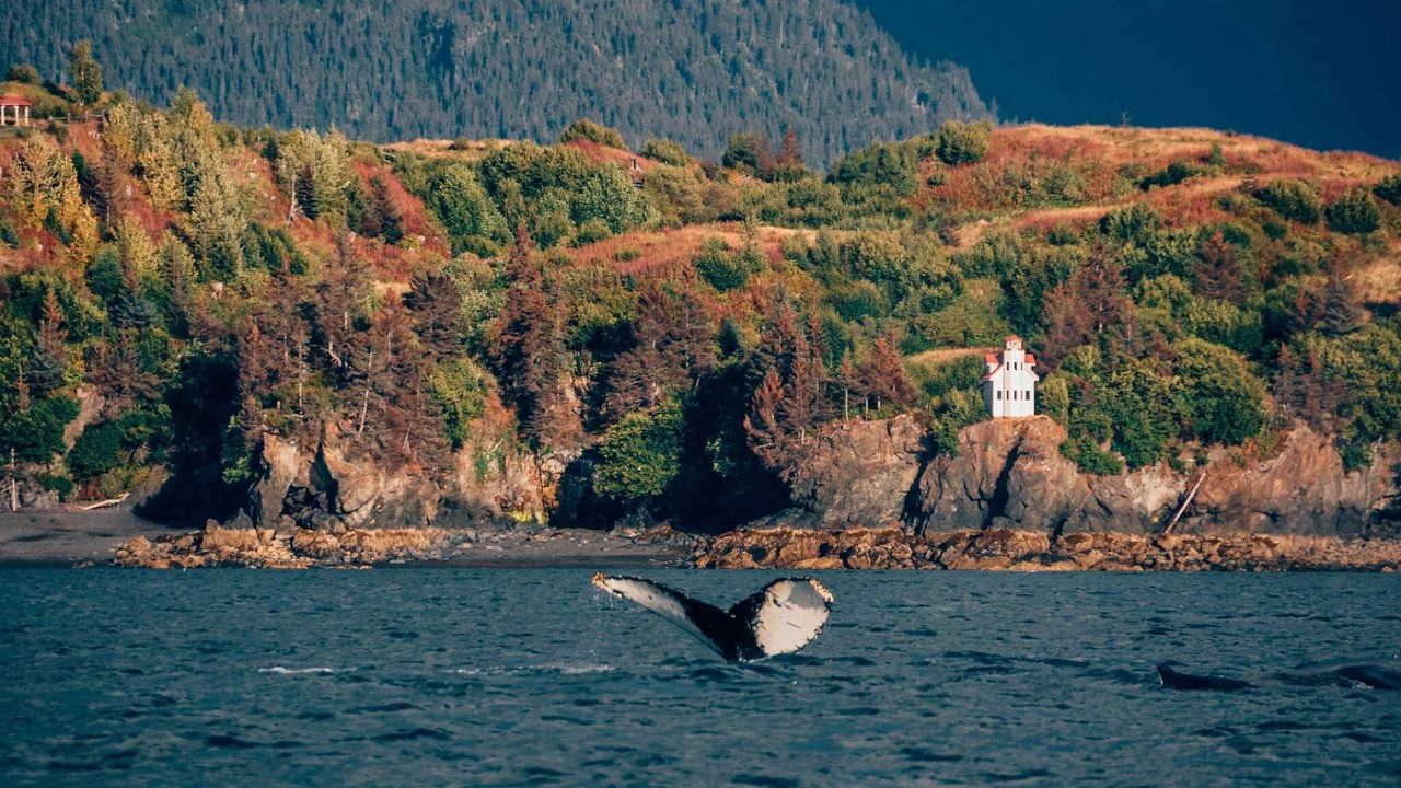 Photo of Others in Halibut Cove