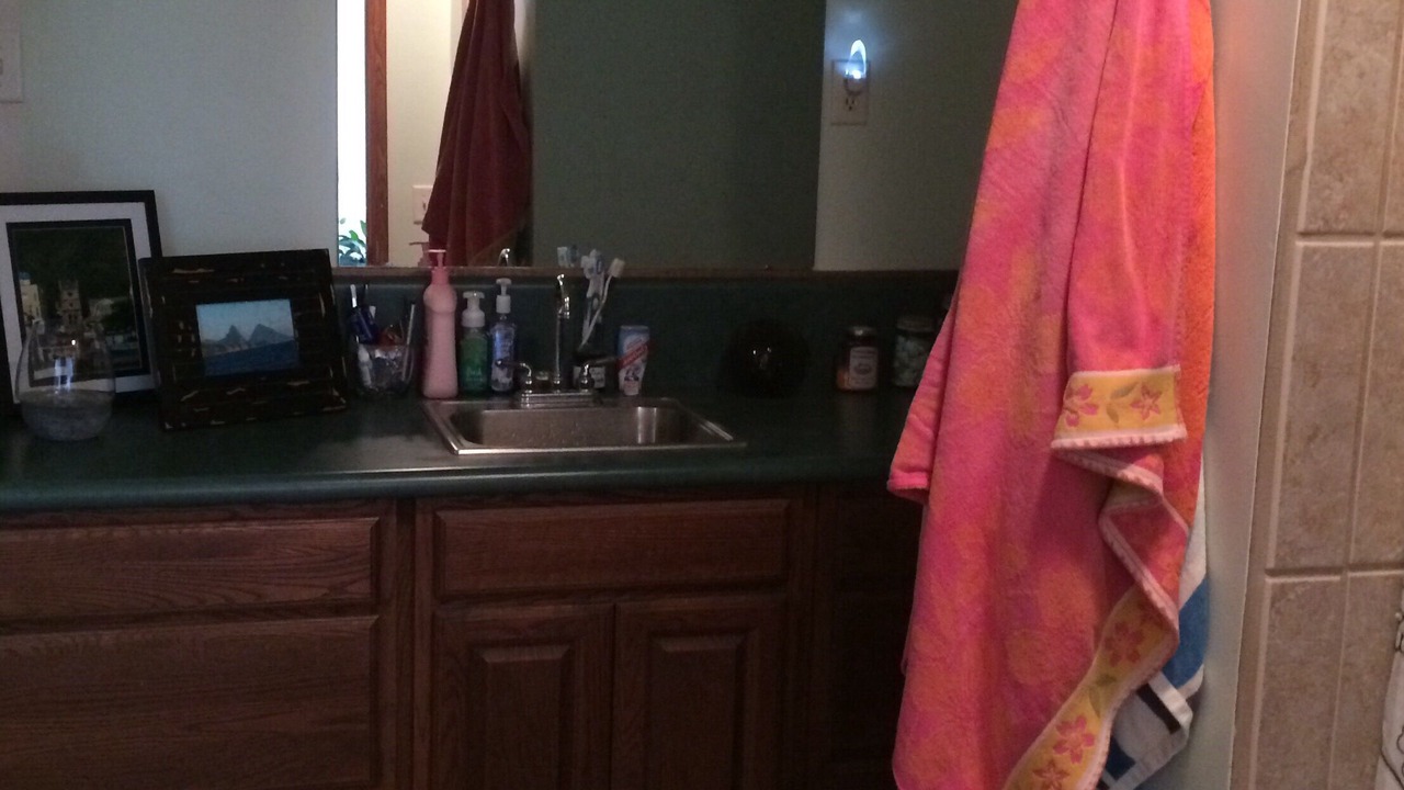 Photo of Bathroom in Troy Grove