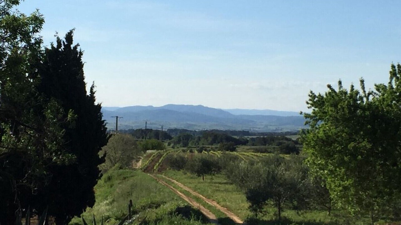 Photo of Outdoor in Montagnac