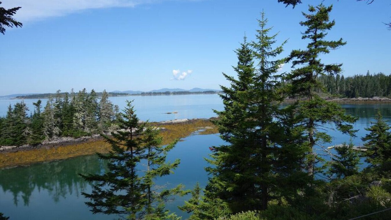 Photo of Others in Vinalhaven