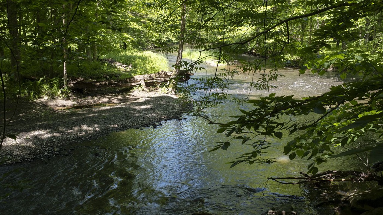 Photo of Others in Tivoli