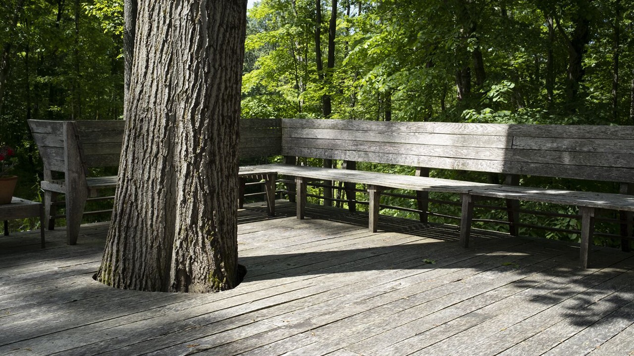 Photo of Others in Tivoli