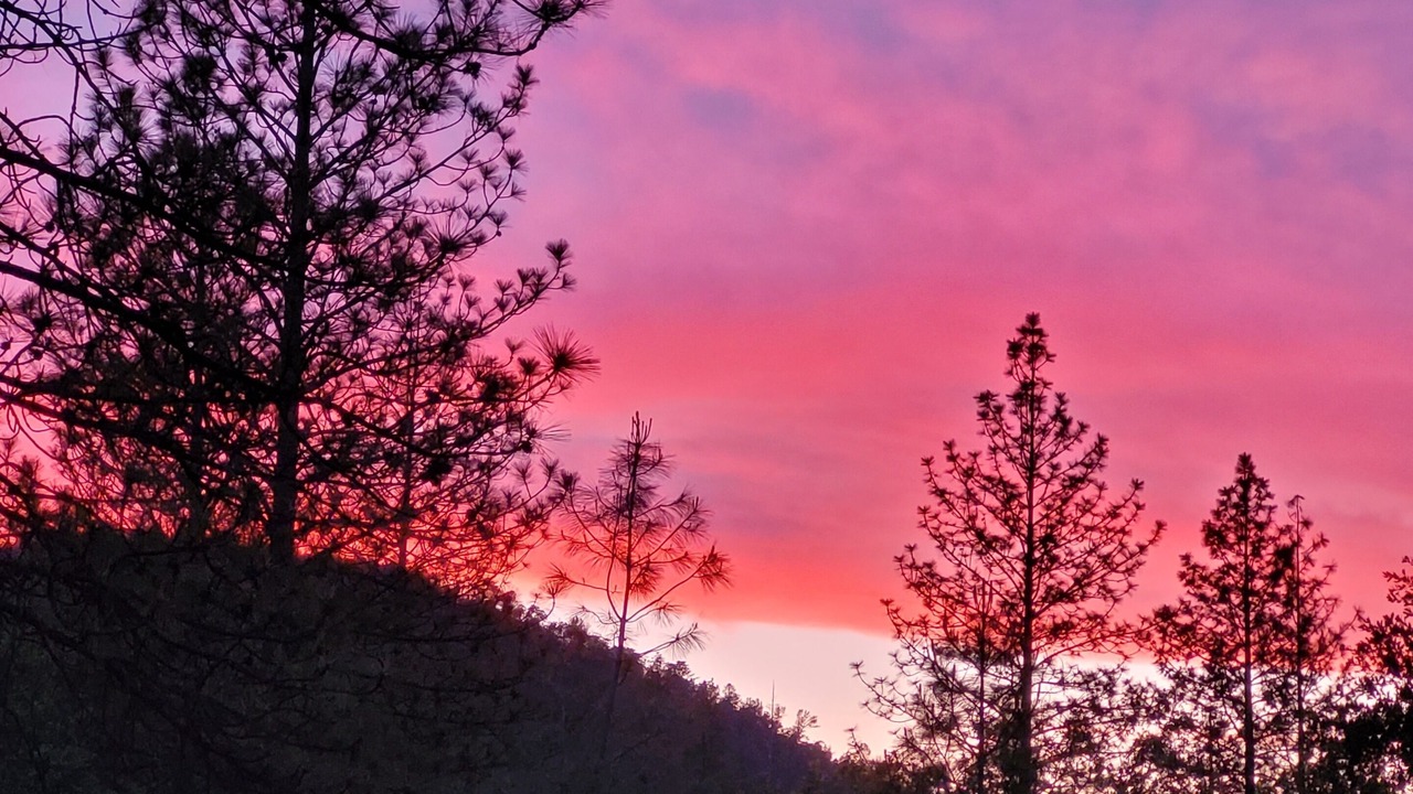 Photo of Others in Mariposa