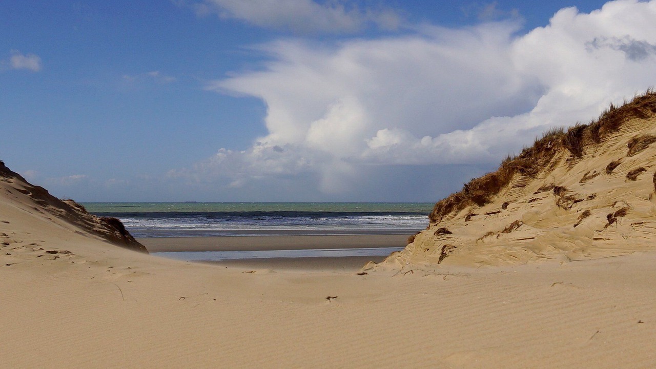 Photo of Others in Wimille