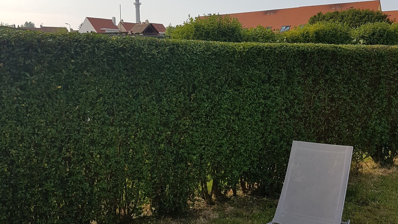 Photo of Outdoor in Wimille