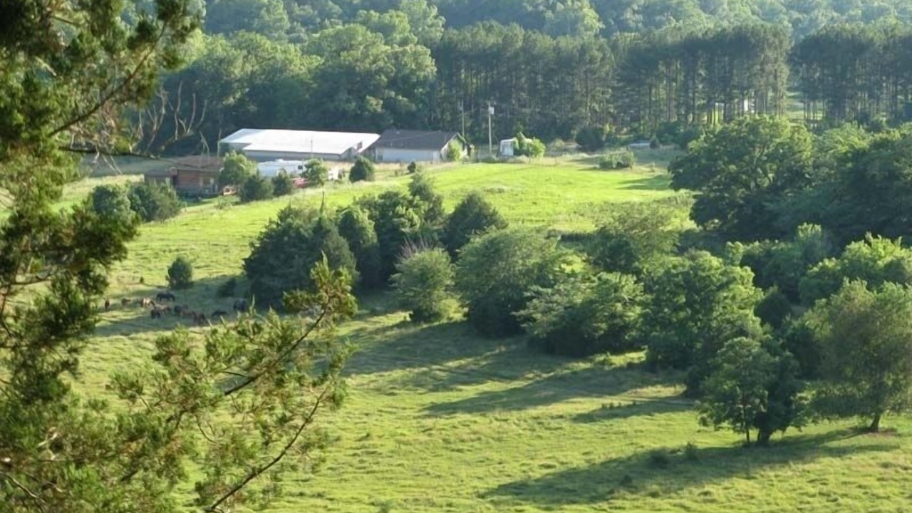 Photo of Others in Hardy