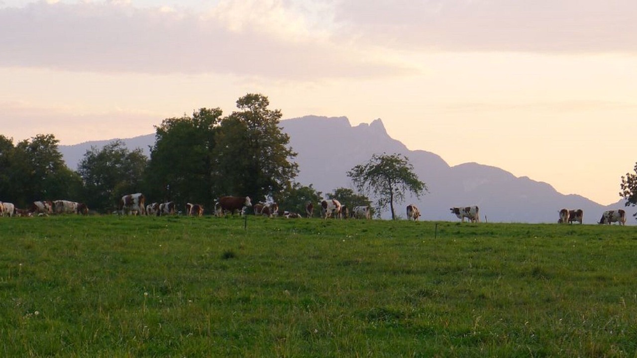 Photo of Outdoor in Trevignin