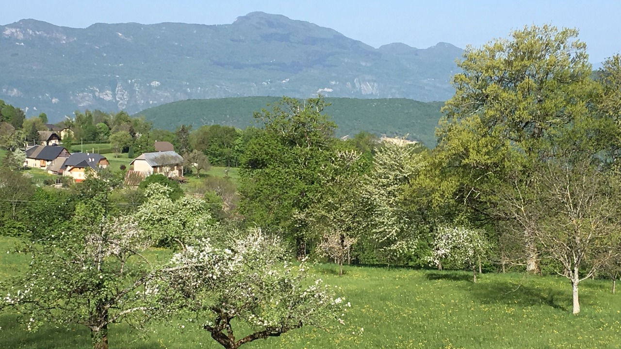 Photo of Outdoor in Trevignin