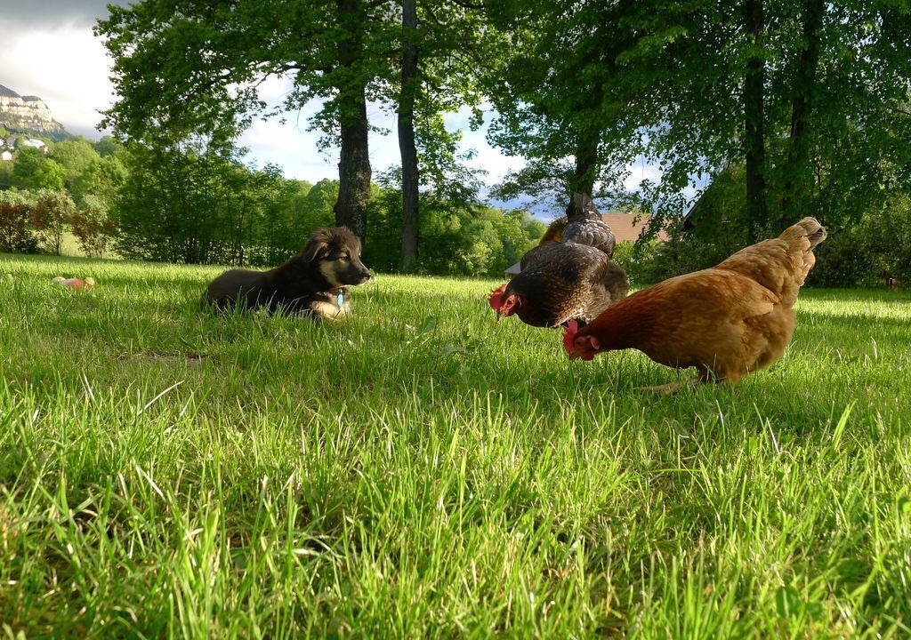 Photo of Outdoor in Trevignin