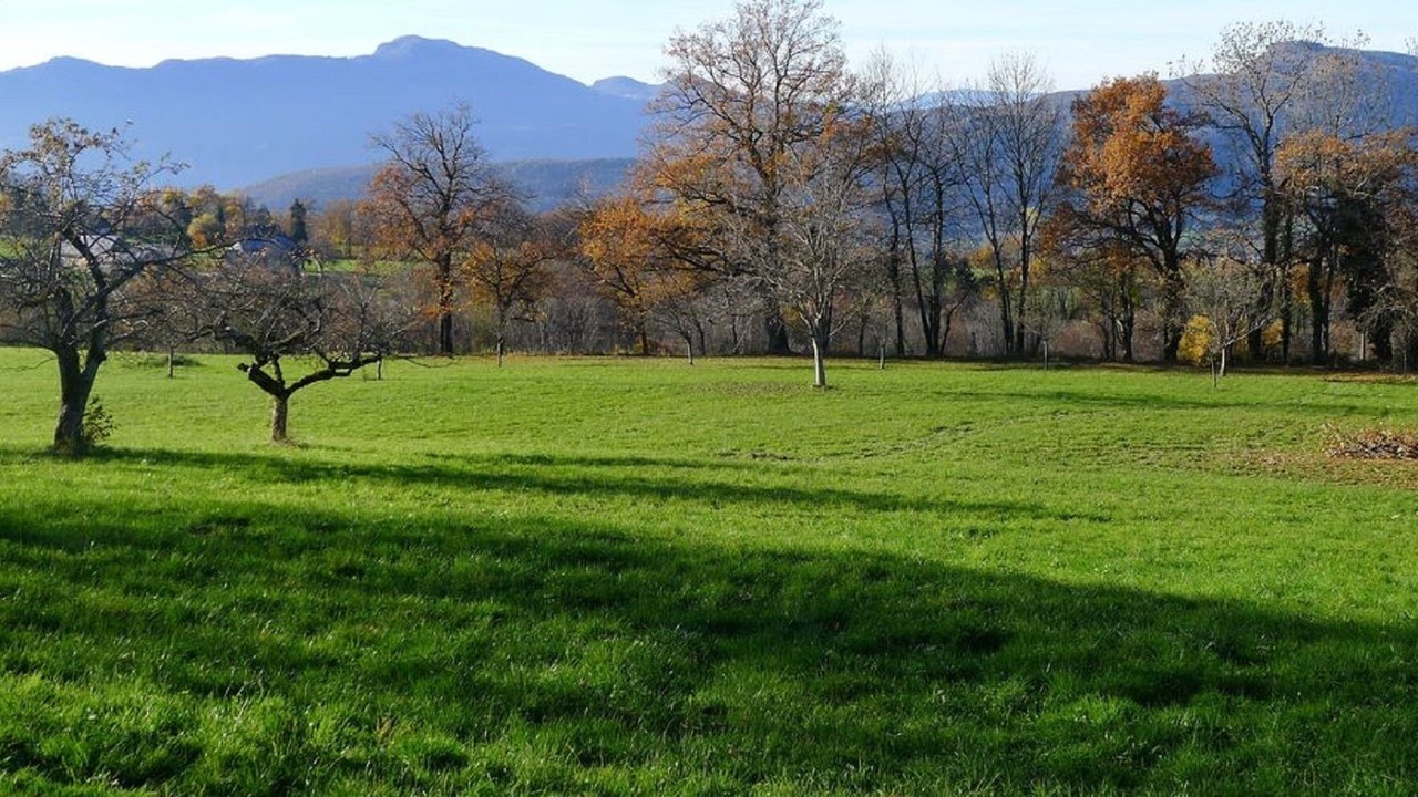 Photo of Others in Trevignin