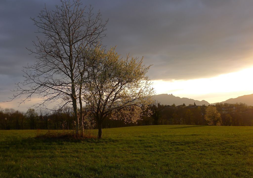 Photo of Others in Trevignin