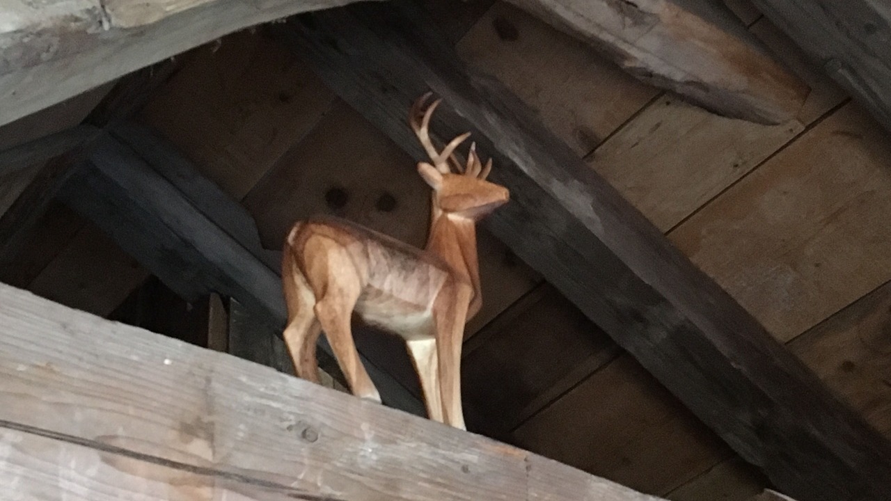 Photo of Others in Trevignin