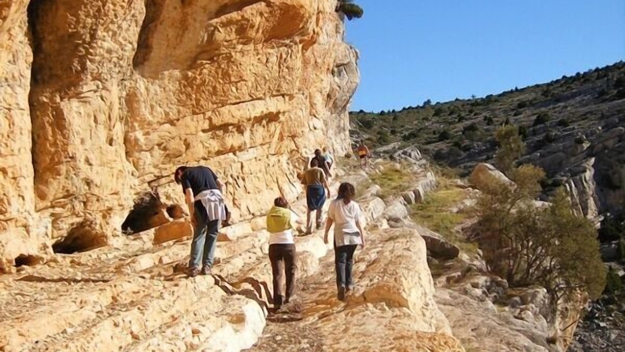 Photo of Outdoor in Sant Mateu