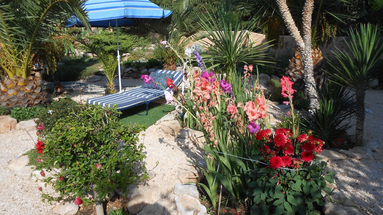 Photo of Outdoor in Miami Platja