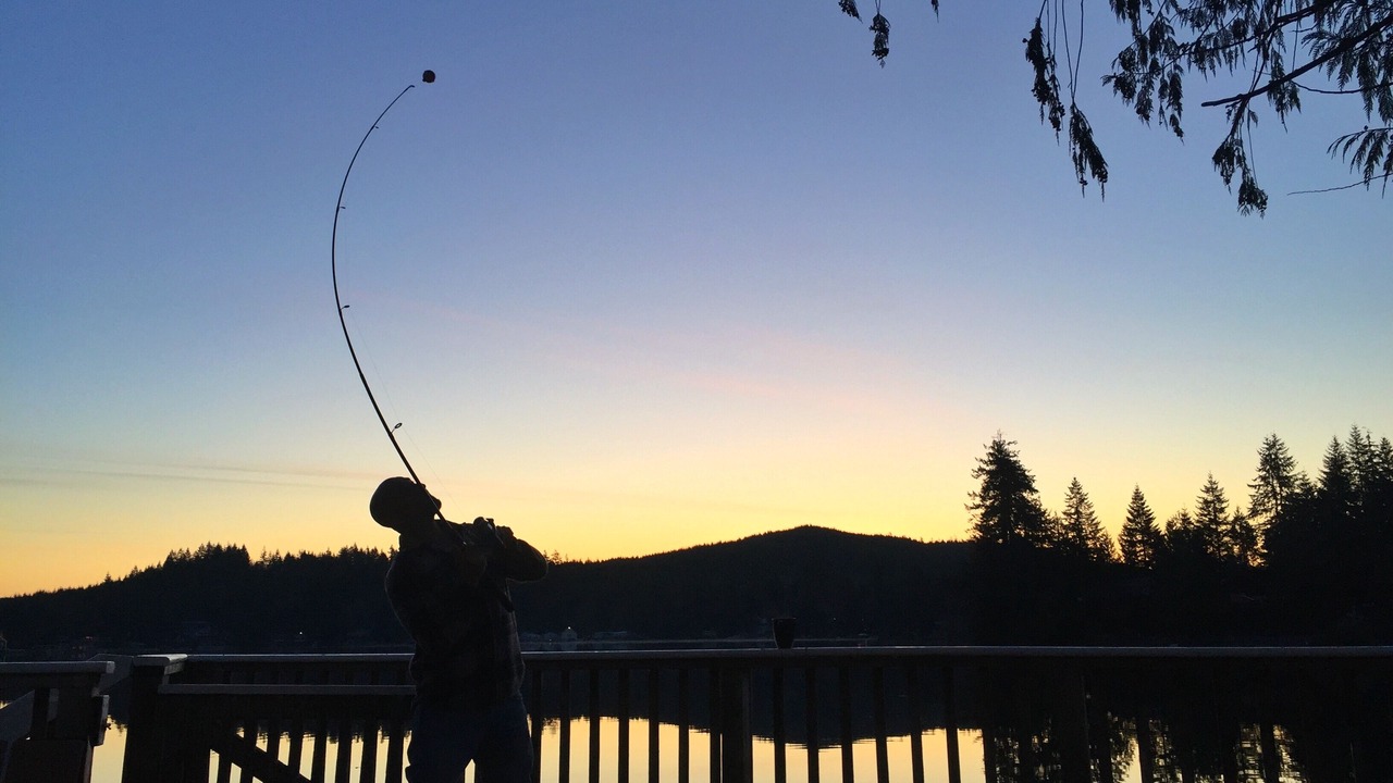Photo of Others in Shelton