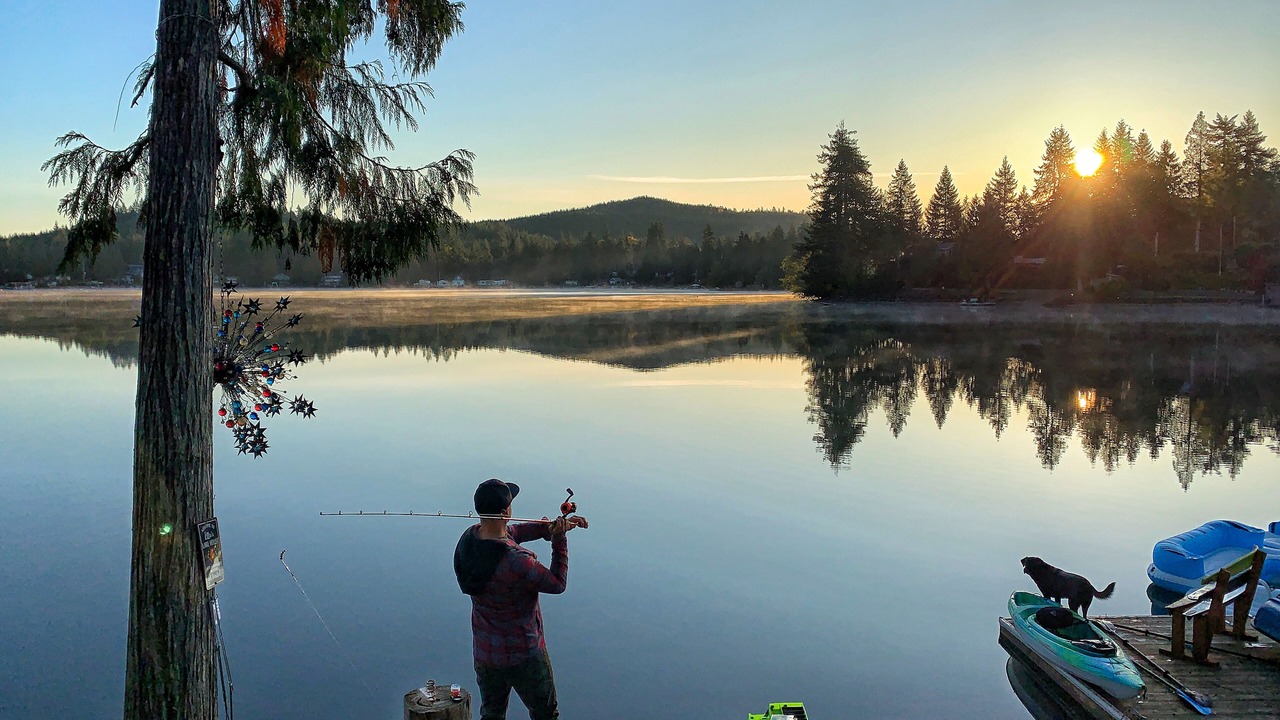 Photo of Others in Shelton