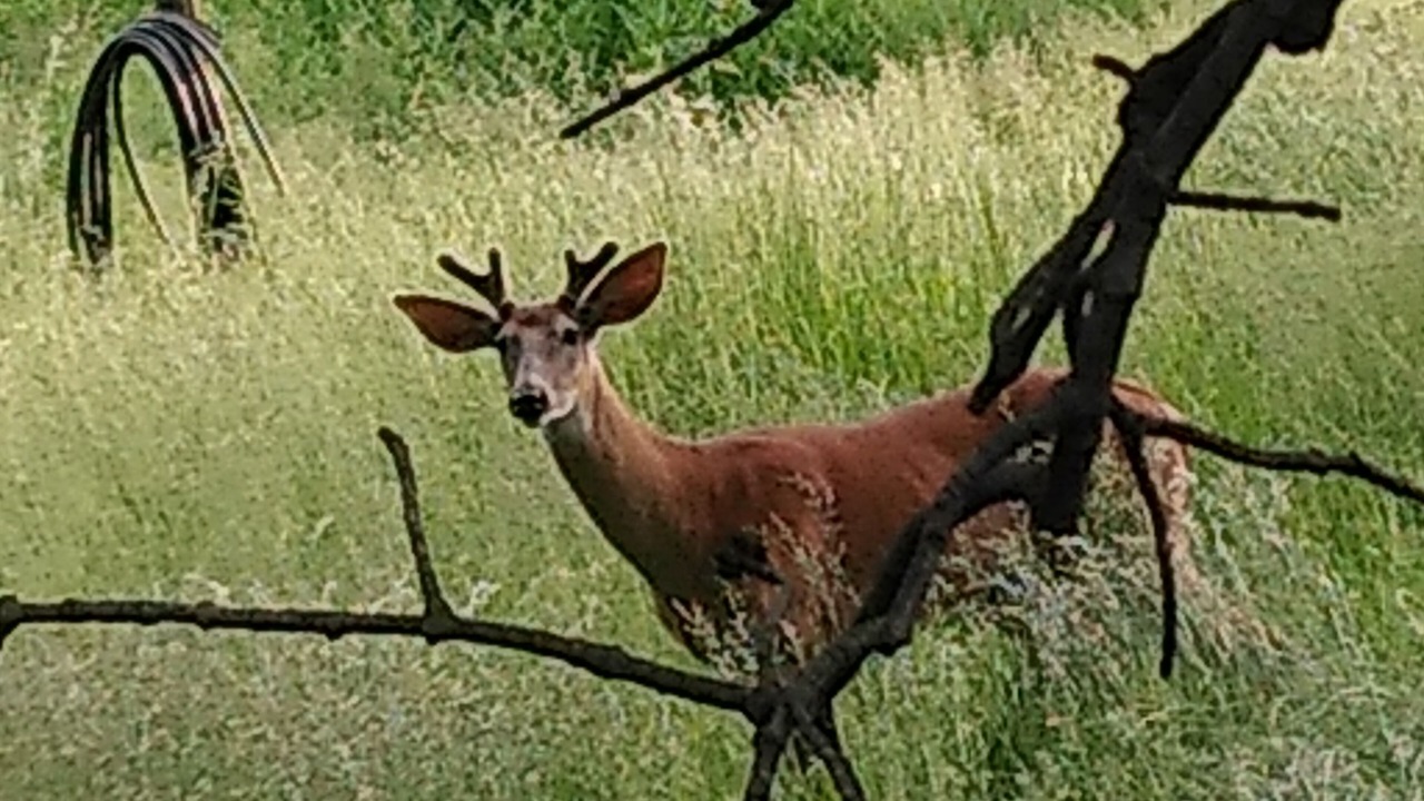 Photo of Outdoor in Westlake