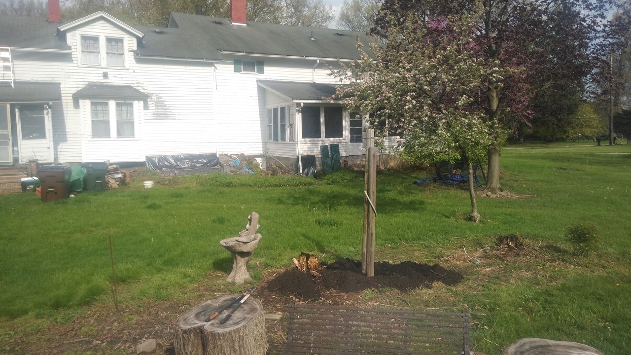 Photo of Outdoor in Westlake