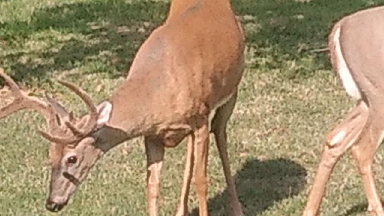 Photo of Outdoor in Westlake