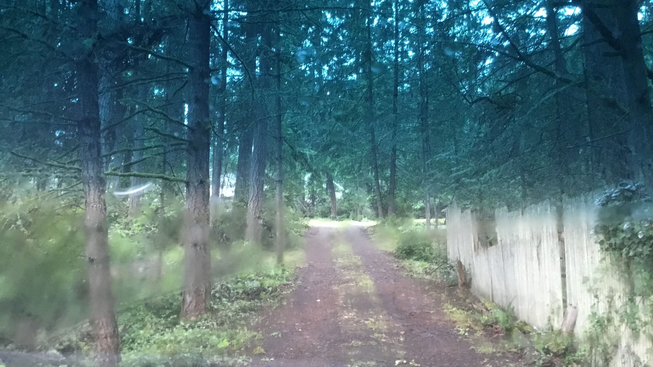 Photo of Outdoor in Anderson Island