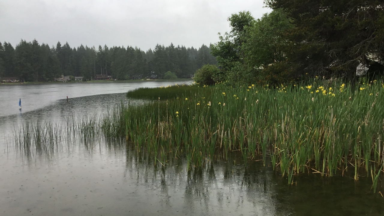 Photo of Outdoor in Anderson Island