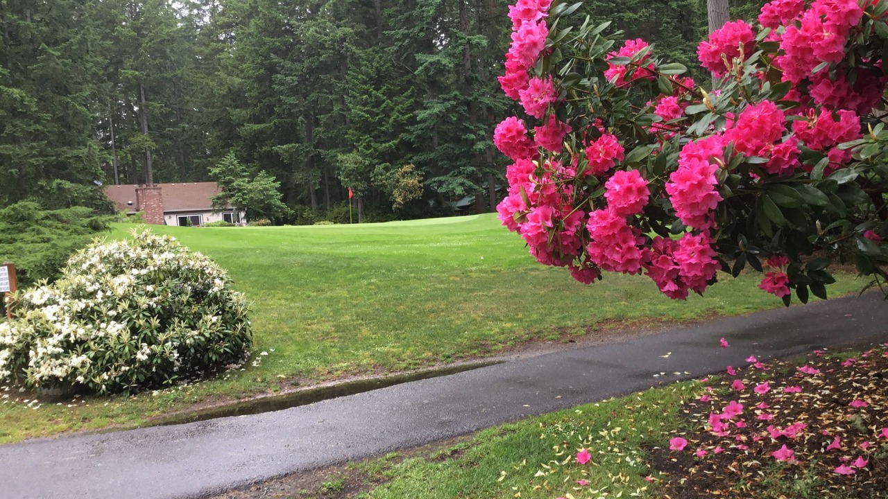 Photo of Outdoor in Anderson Island