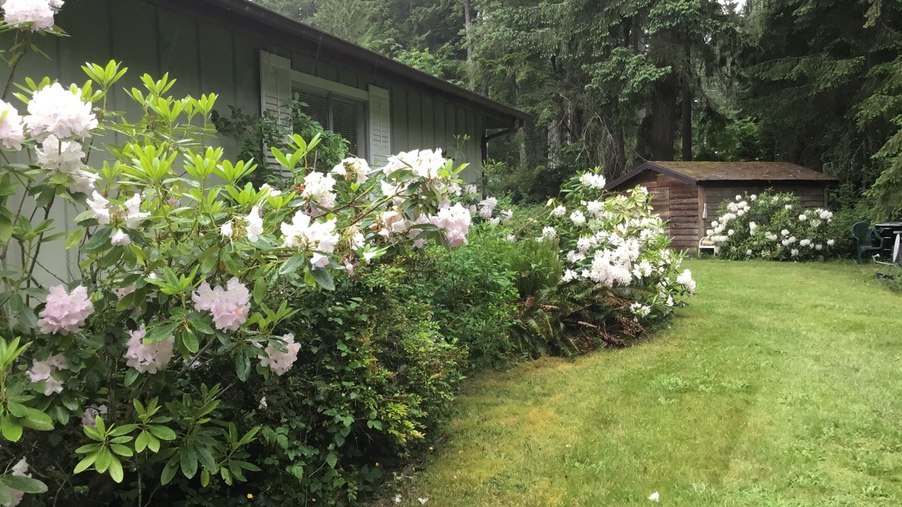 Photo of Outdoor in Anderson Island