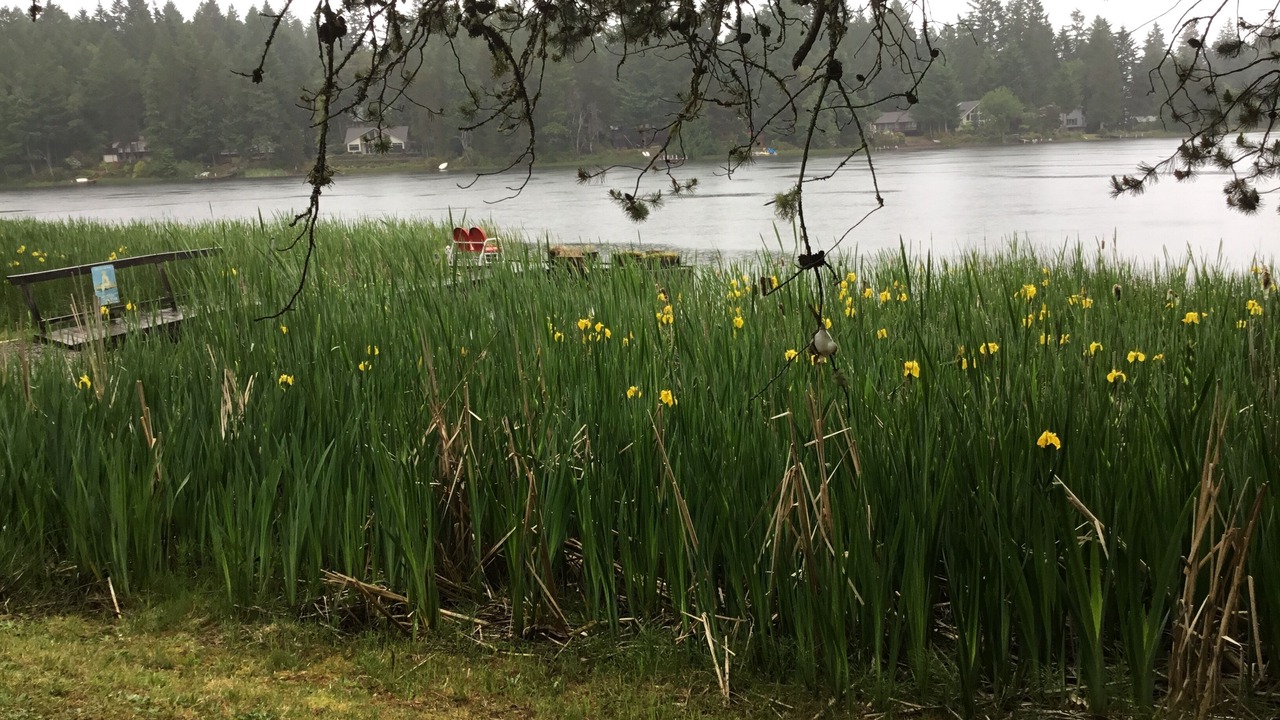 Photo of Outdoor in Anderson Island