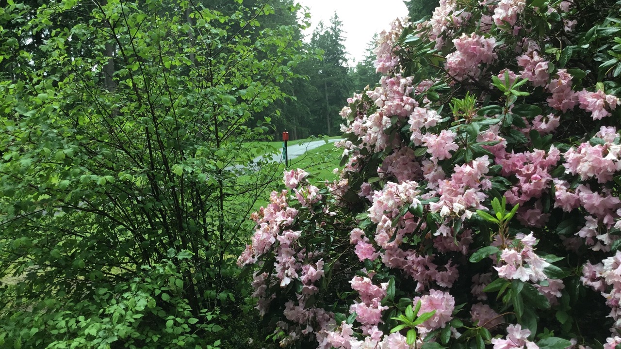 Photo of Outdoor in Anderson Island