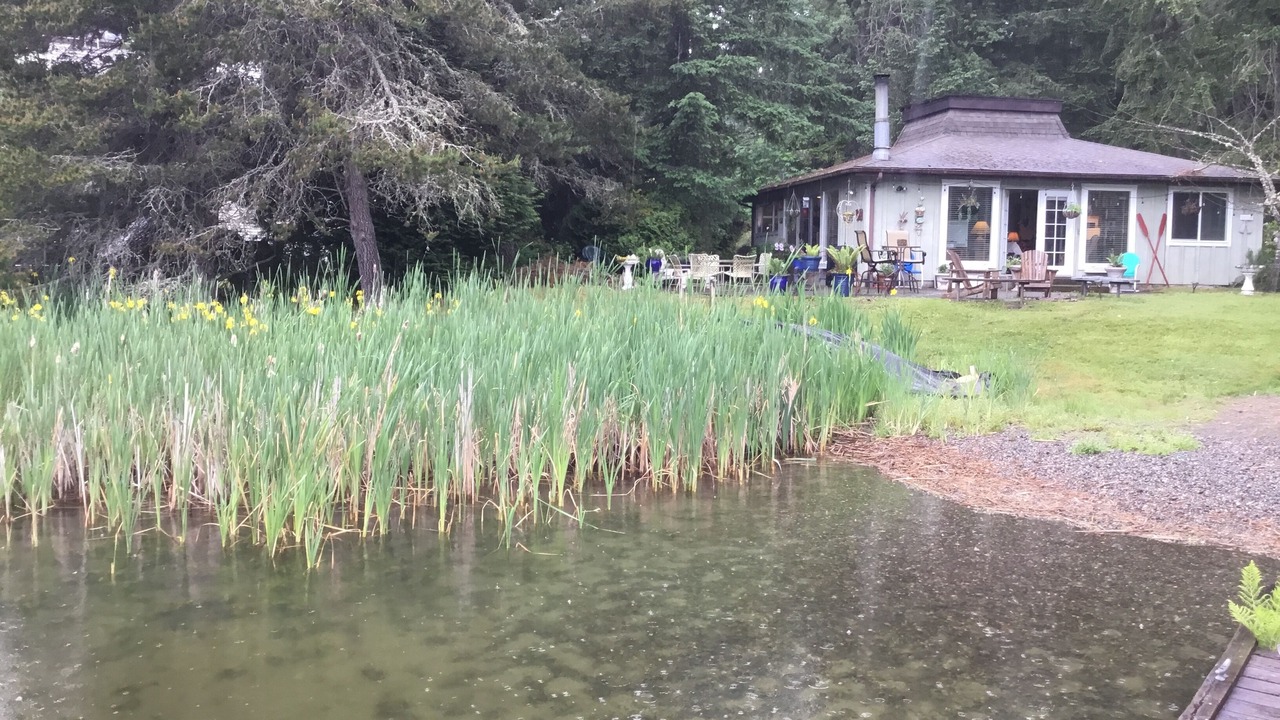 Photo of Outdoor in Anderson Island