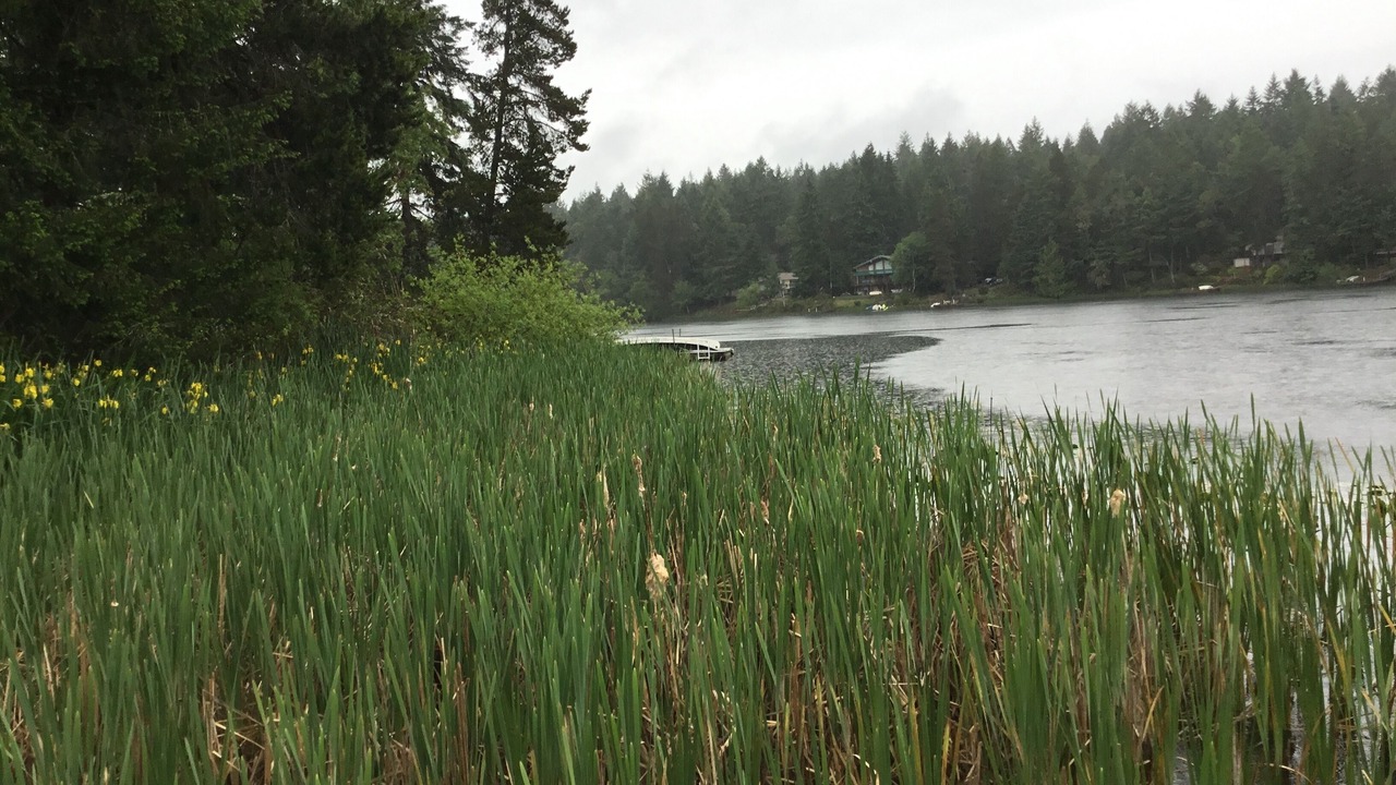 Photo of Others in Anderson Island