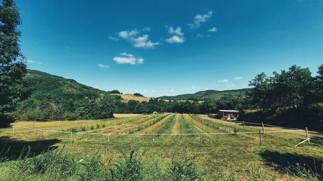 Photo of Outdoor in Engravies