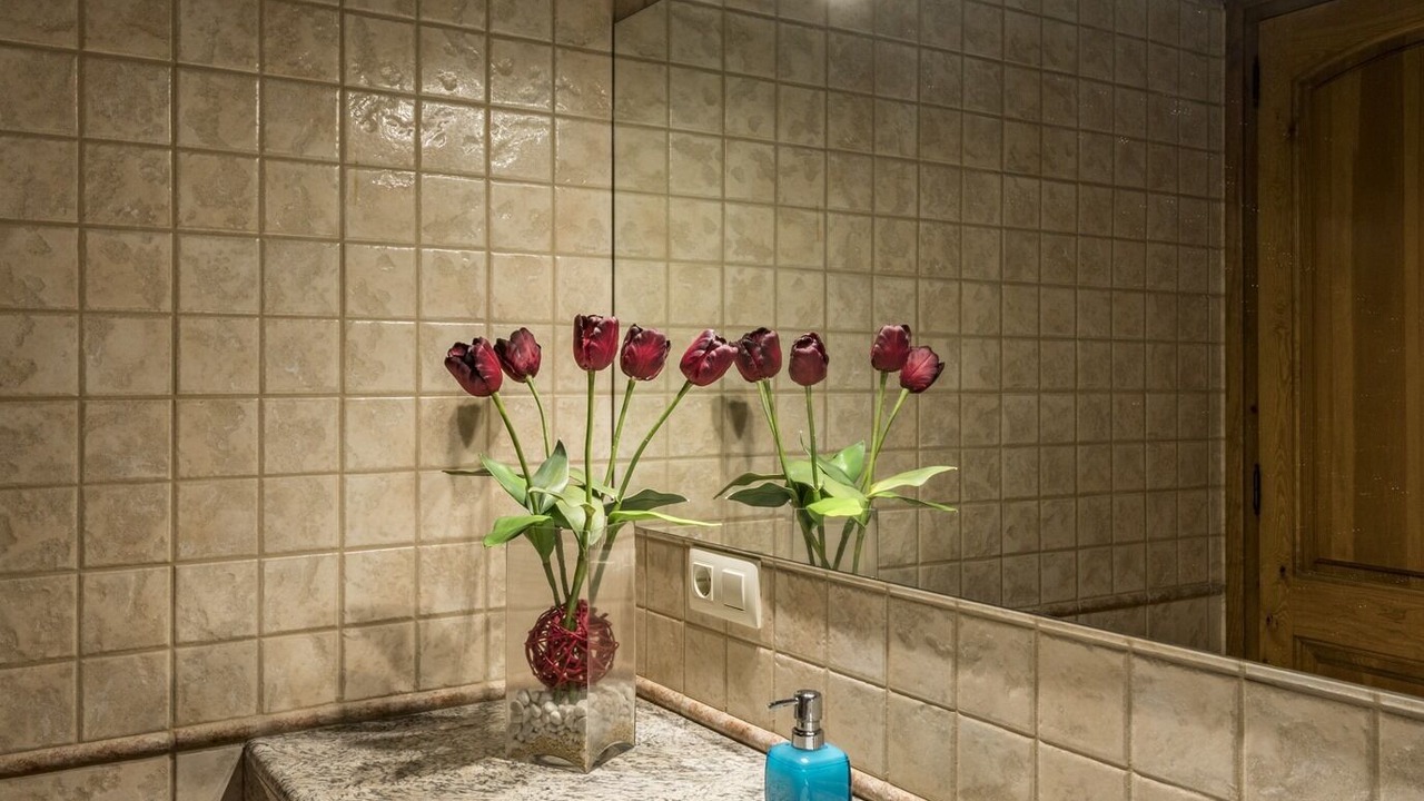 Photo of Bathroom in Santa Pau