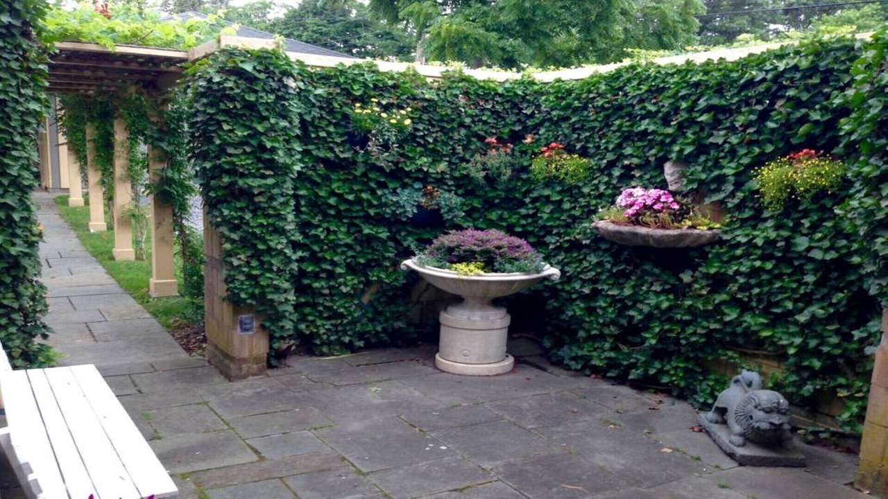 Photo of Outdoor in Bellport