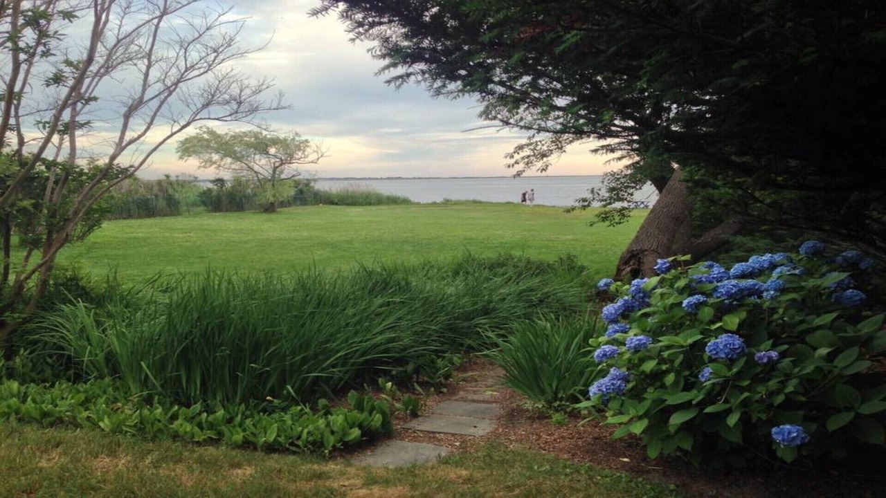 Photo of Others in Bellport