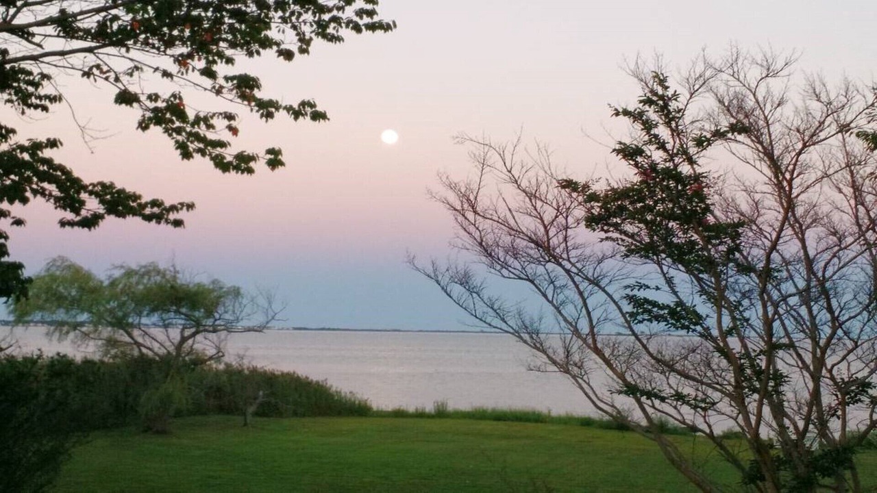 Photo of Others in Bellport