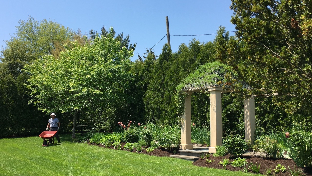 Photo of Outdoor in Bellport