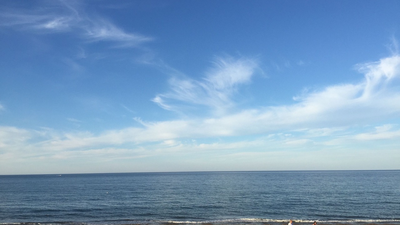 Photo of Others in Ocean Bluff-Brant Rock