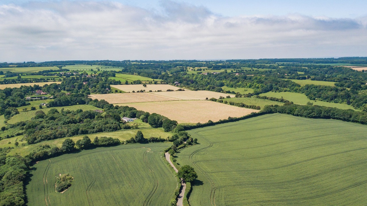 Photo of Others in Sittingbourne