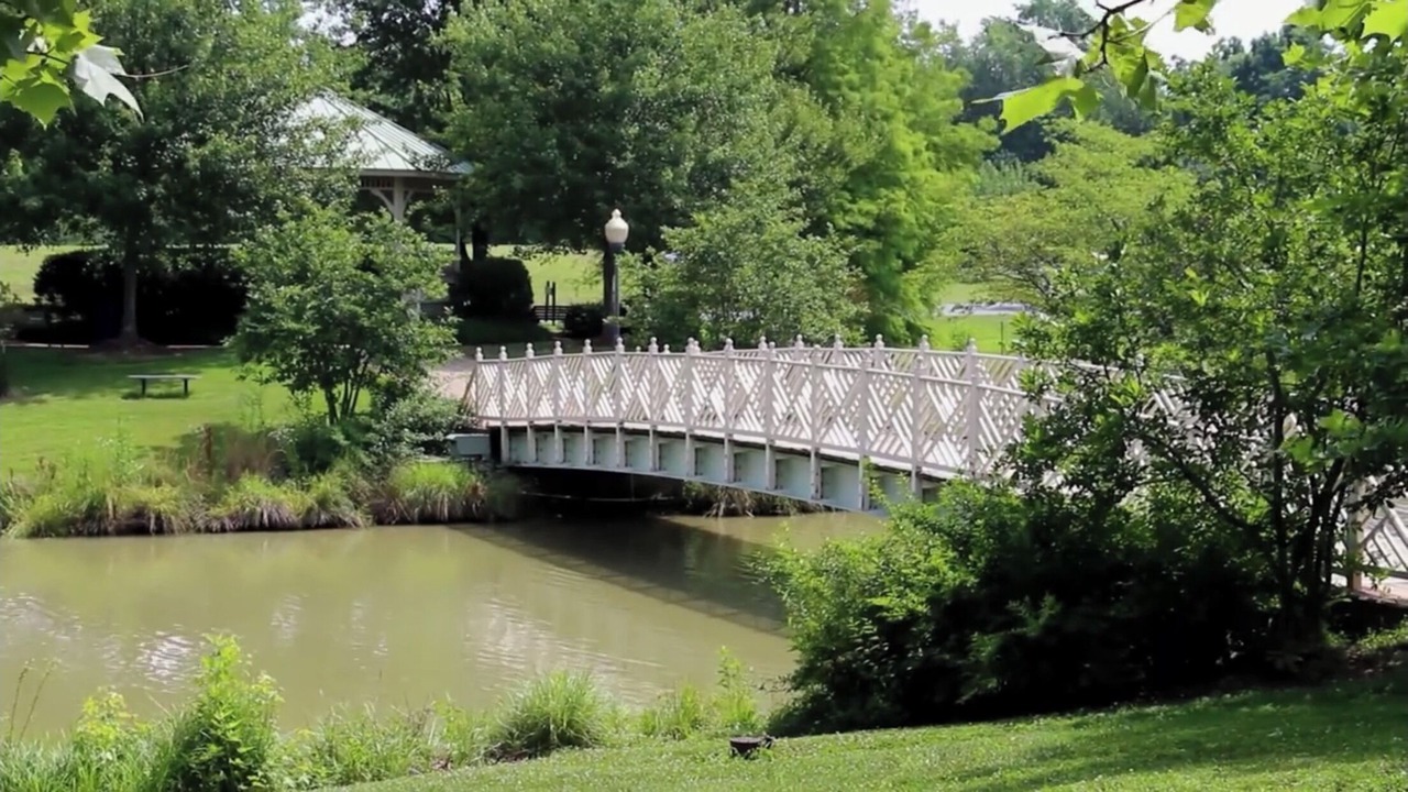 Photo of Others in Arundel on the Bay