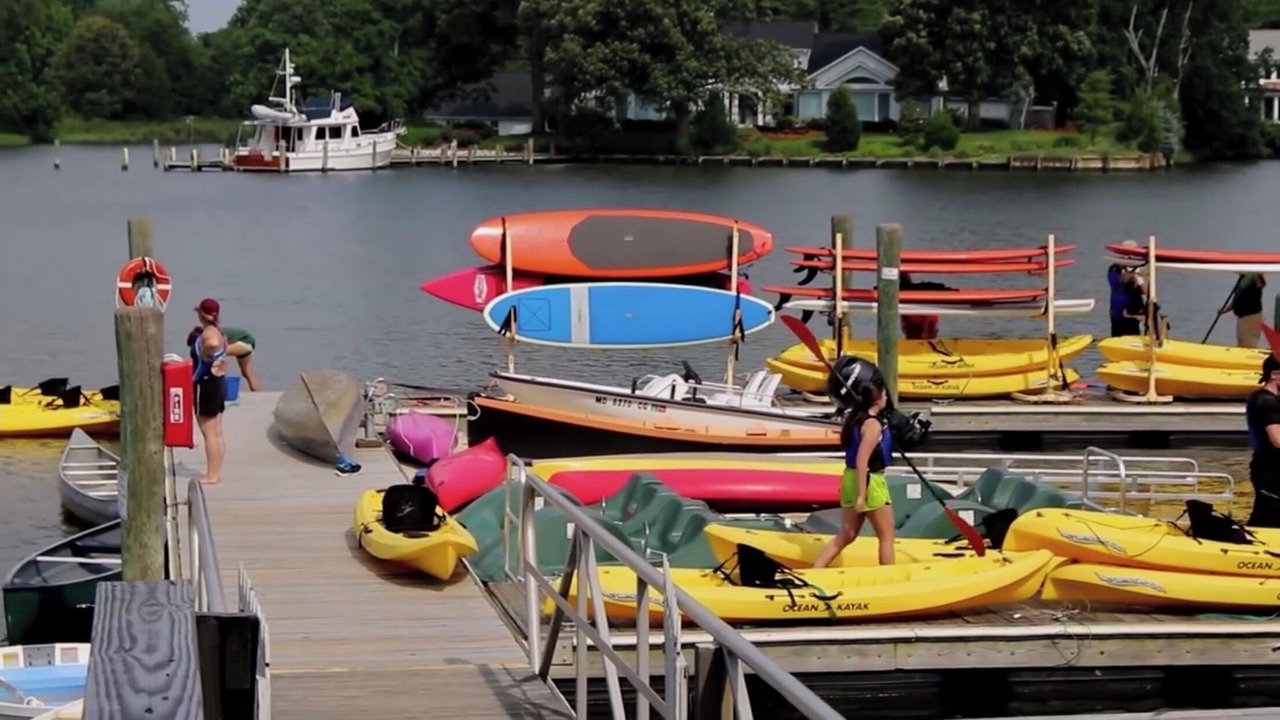 Photo of Others in Arundel on the Bay