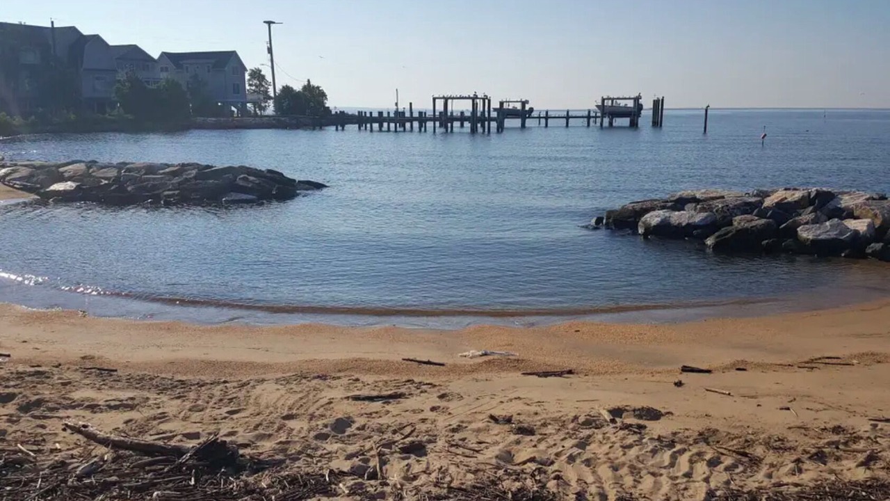 Photo of Others in Arundel on the Bay