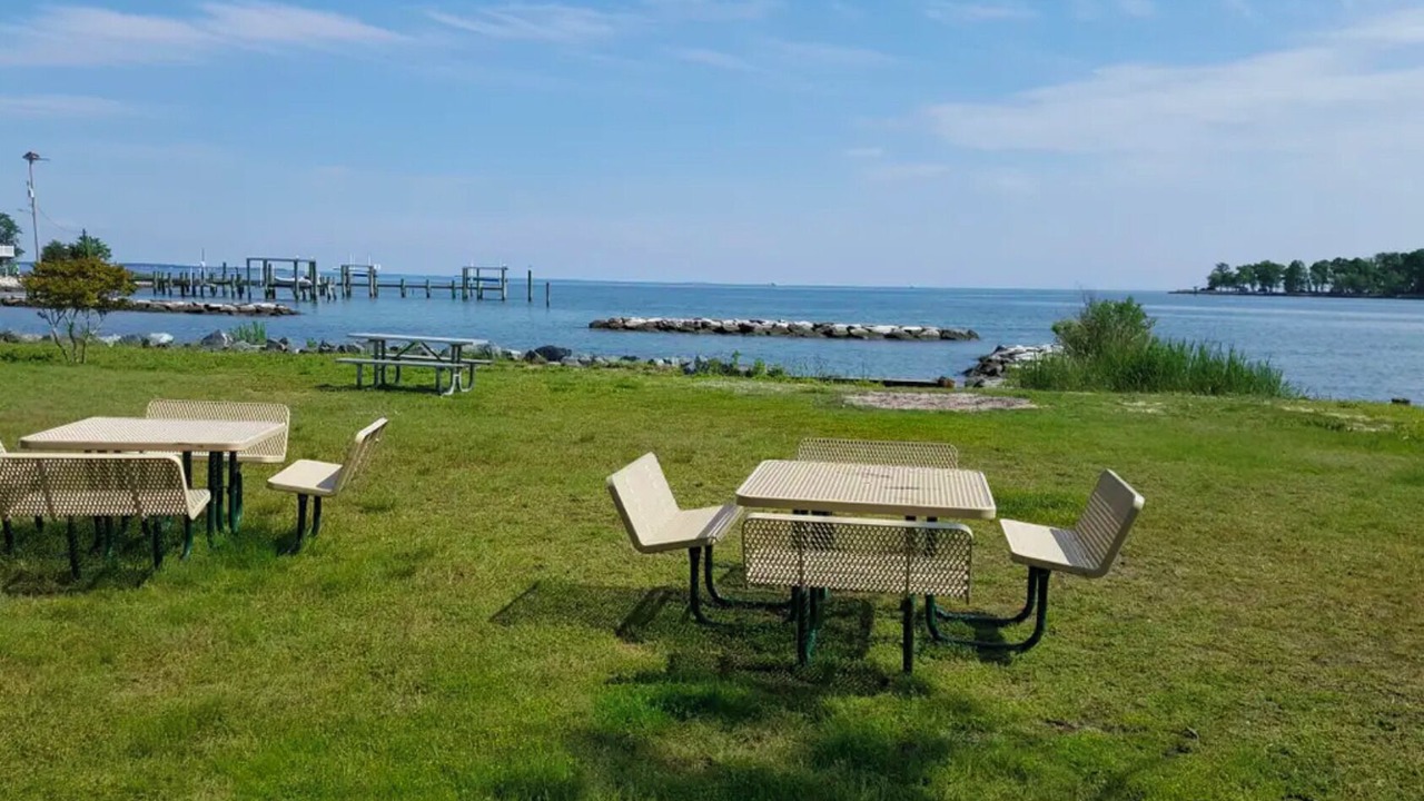 Photo of Others in Arundel on the Bay