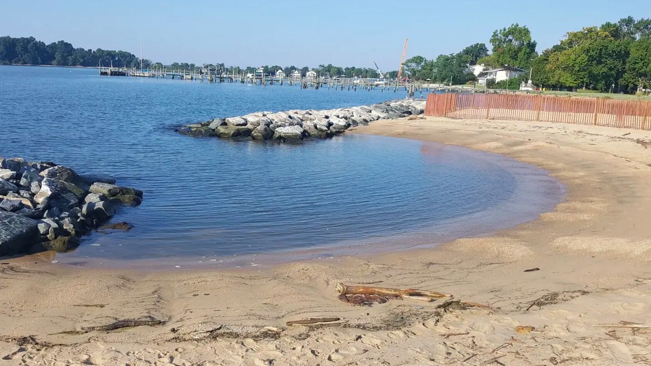 Photo of Others in Arundel on the Bay