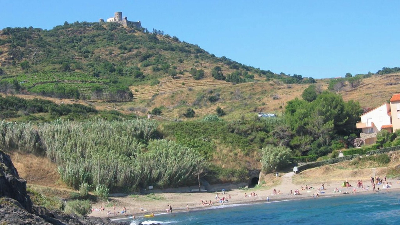 Photo of Others in Port-Vendres
